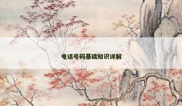 电话号码基础知识详解
