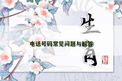 电话号码常见问题与解答