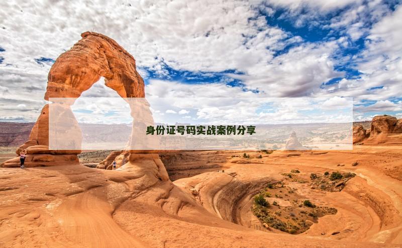 身份证号码实战案例分享