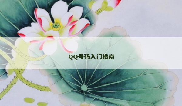 QQ号码入门指南