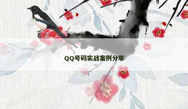 QQ号码实战案例分享
