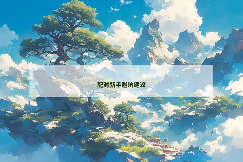 配对新手避坑建议