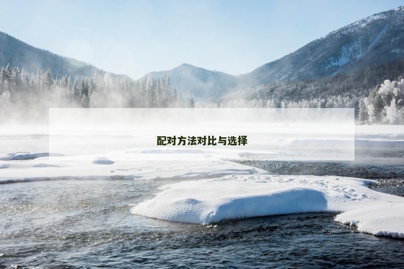 配对方法对比与选择