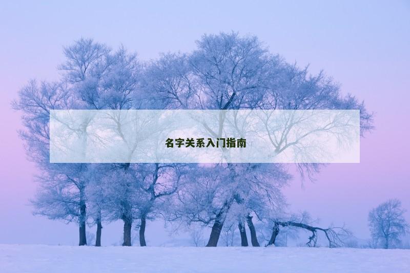 名字关系入门指南