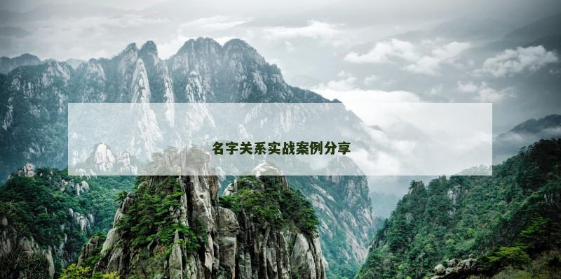 名字关系实战案例分享