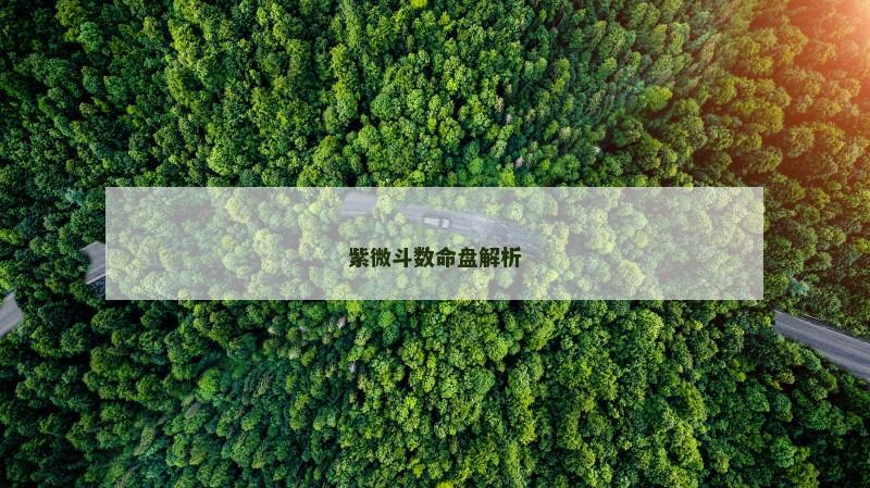 紫微斗数命盘解析