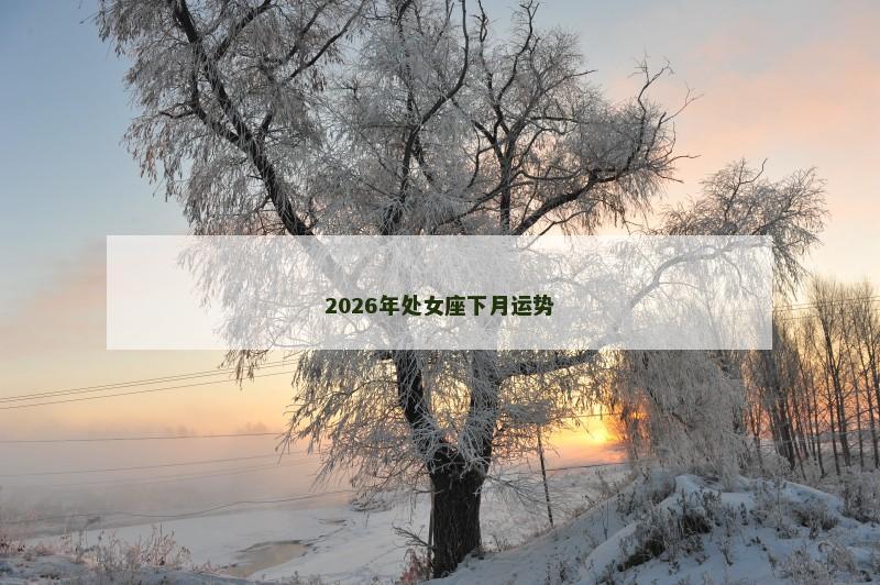 2026年处女座下月运势