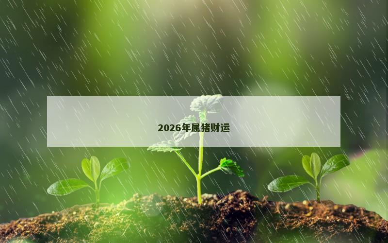 2026年属猪财运