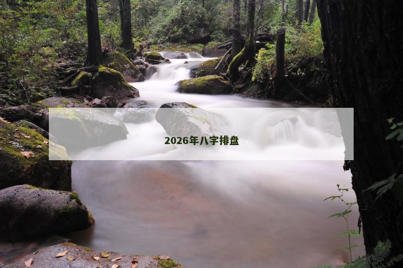 2026年八字排盘