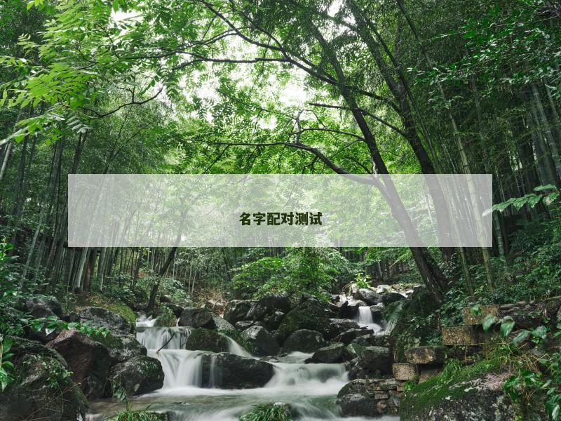 名字配对测试