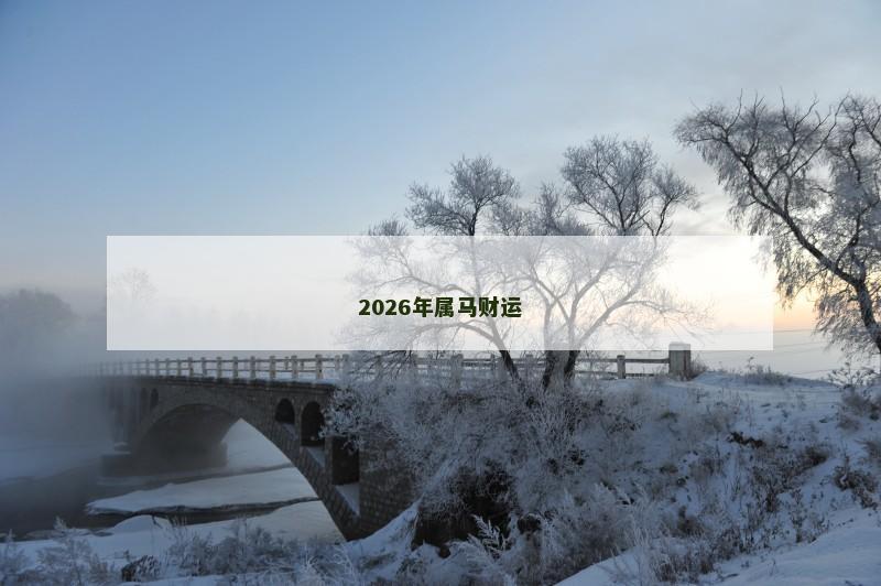 2026年属马财运