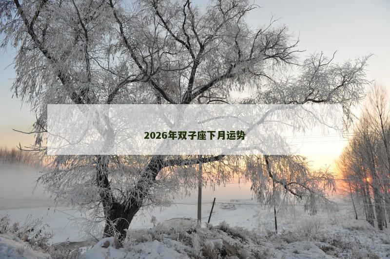 2026年双子座下月运势