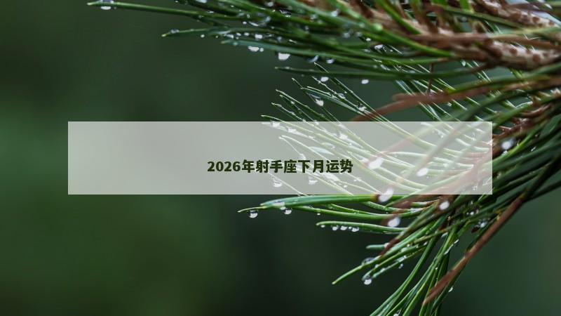 2026年射手座下月运势