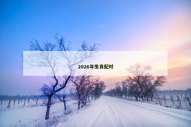 2026年生肖配对