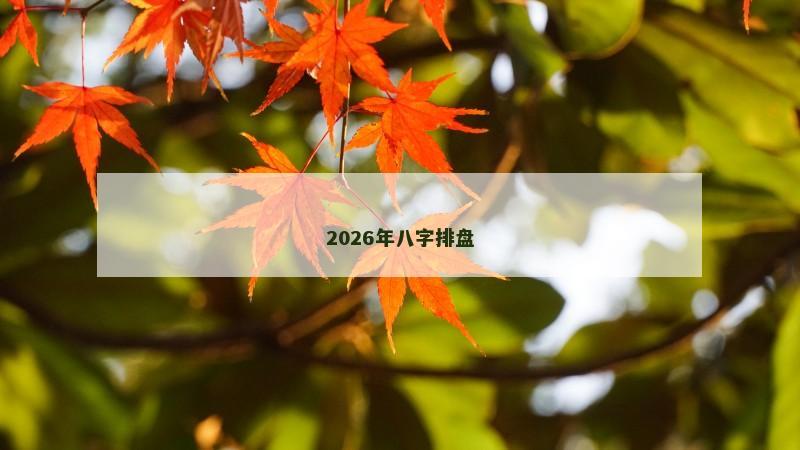 2026年八字排盘