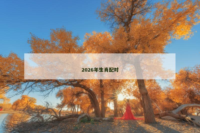 2026年生肖配对