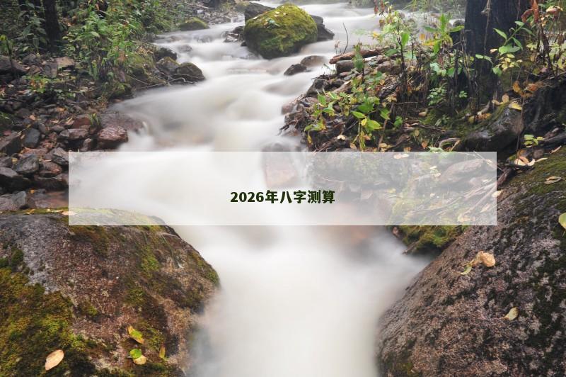 2026年八字测算