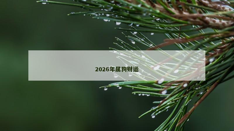 2026年属狗财运