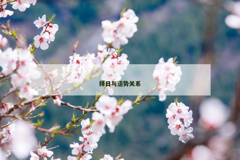 择日与运势关系
