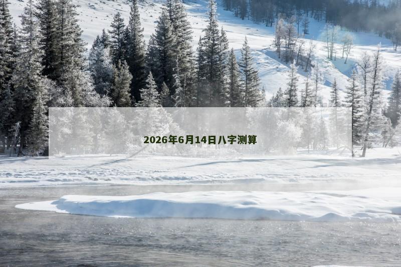 2026年6月14日八字测算