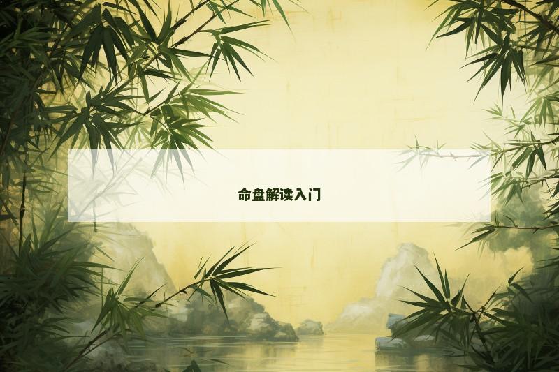 命盘解读入门