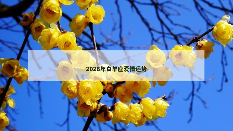 2026年白羊座爱情运势