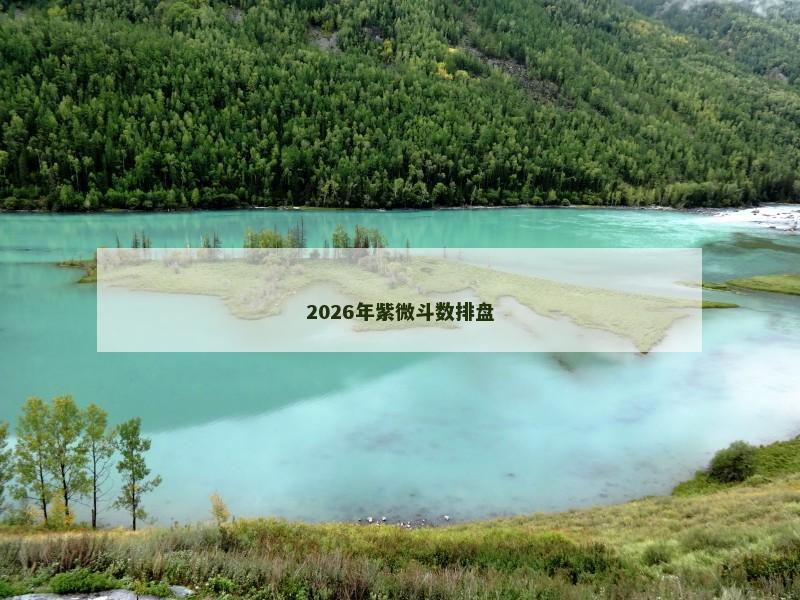2026年紫微斗数排盘