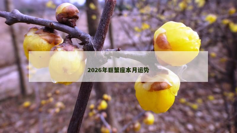 2026年巨蟹座本月运势