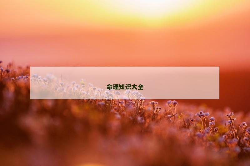 命理知识大全