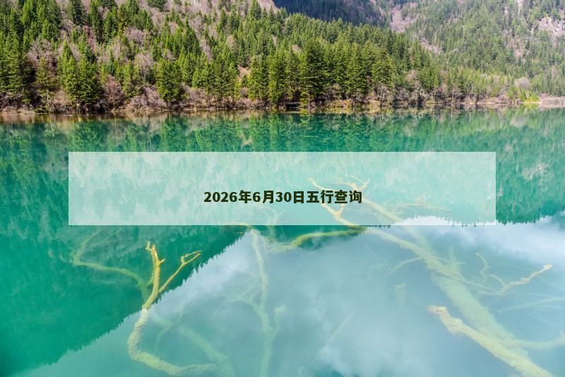 2026年6月30日五行查询