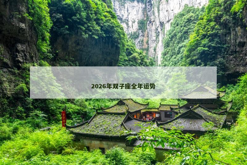 2026年双子座全年运势