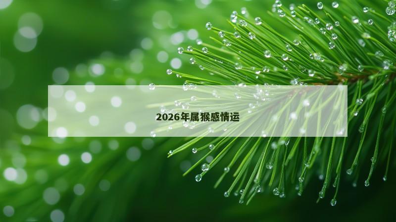 2026年属猴感情运