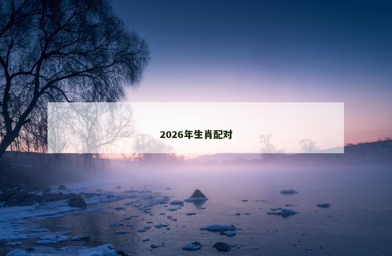 2026年生肖配对