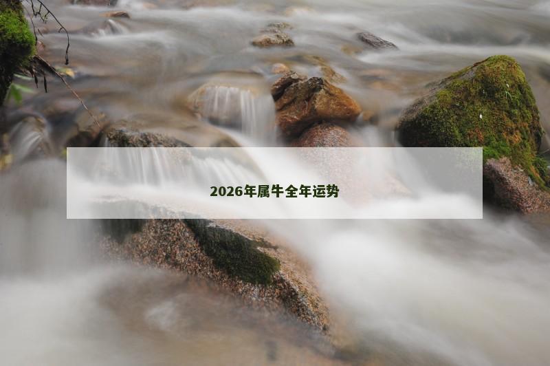 2026年属牛全年运势
