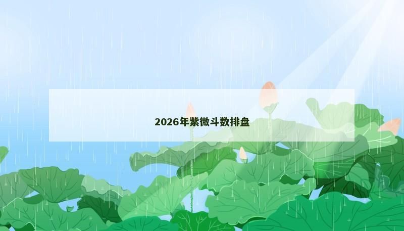2026年紫微斗数排盘