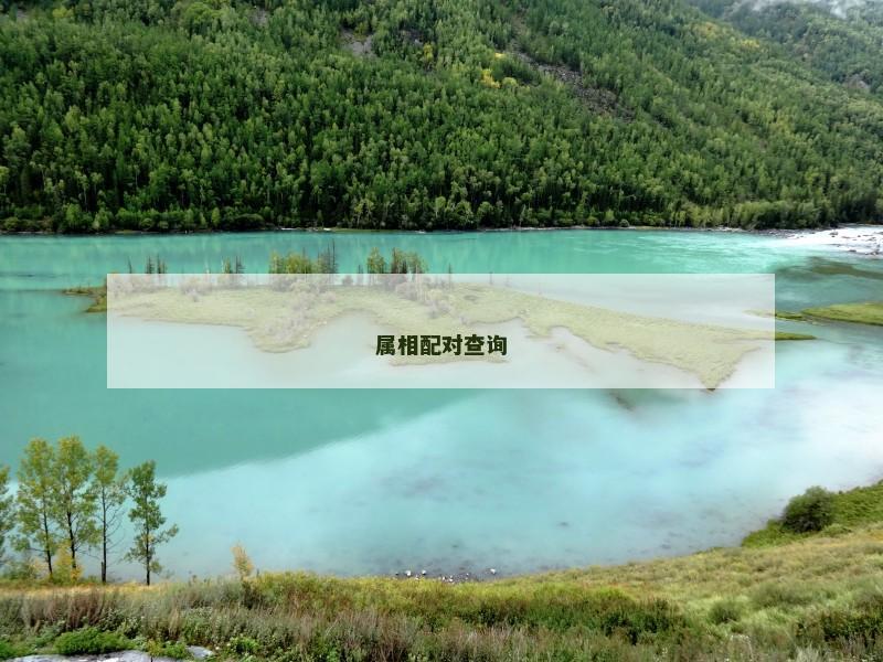 属相配对查询