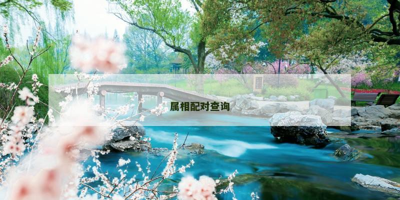 属相配对查询