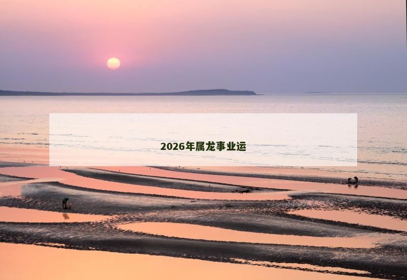 2026年属龙事业运