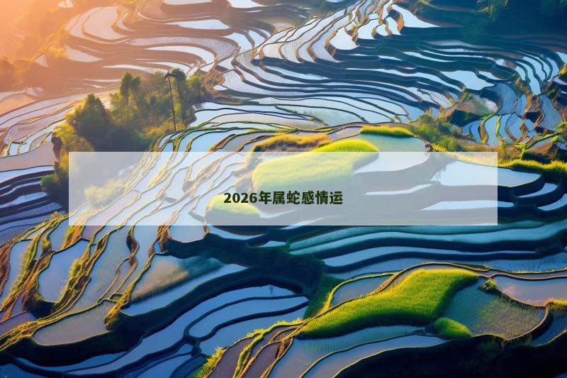 2026年属蛇感情运