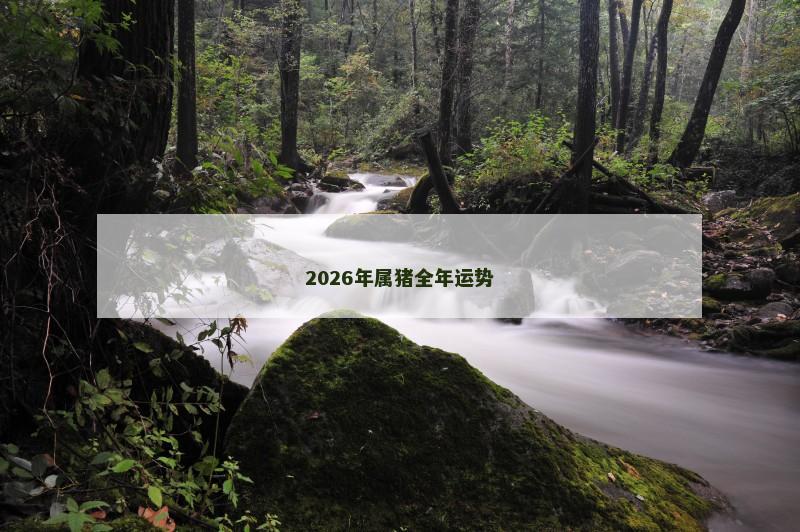 2026年属猪全年运势