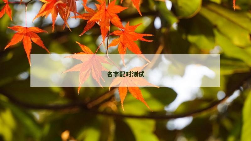 名字配对测试