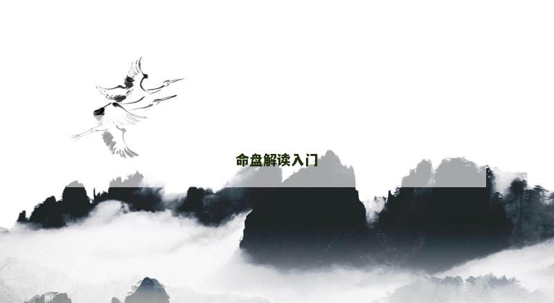 命盘解读入门