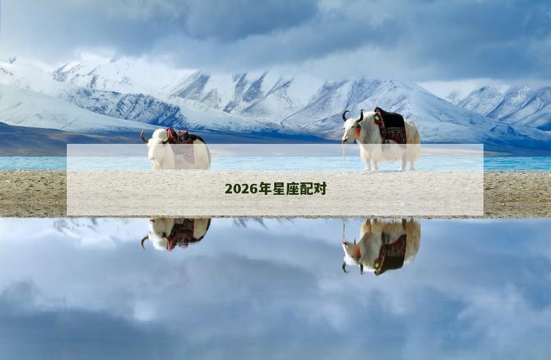 2026年星座配对