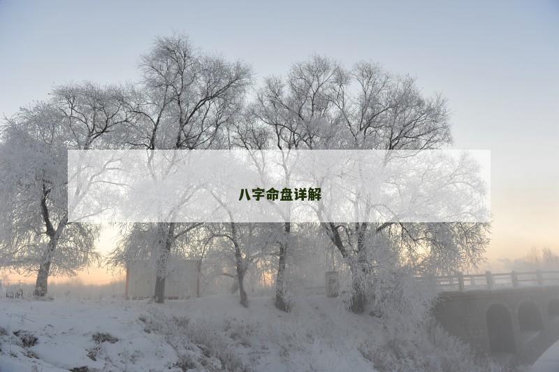 八字命盘详解