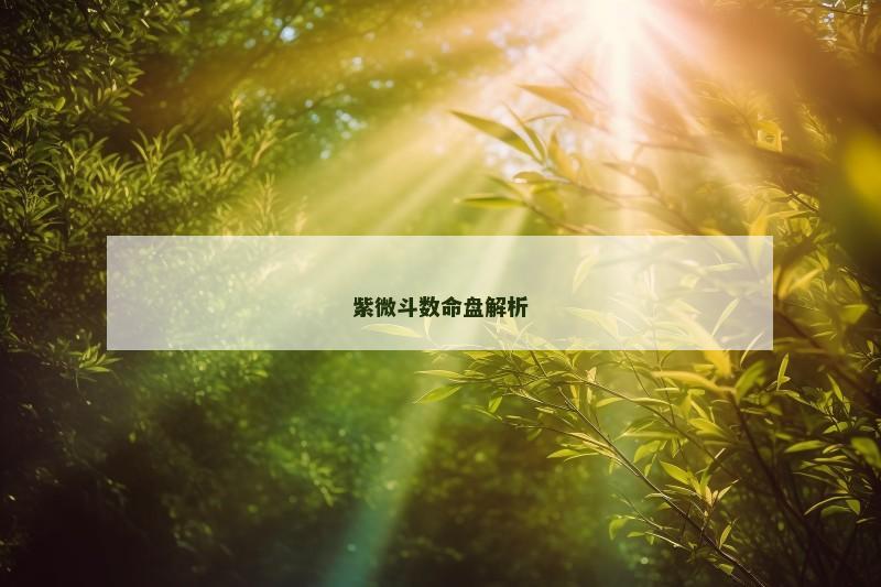 紫微斗数命盘解析