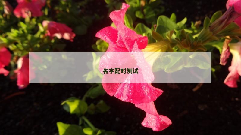 名字配对测试