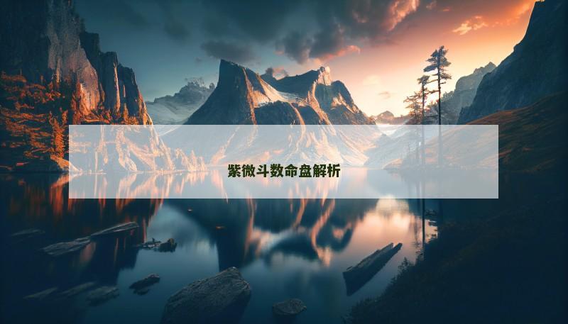 紫微斗数命盘解析