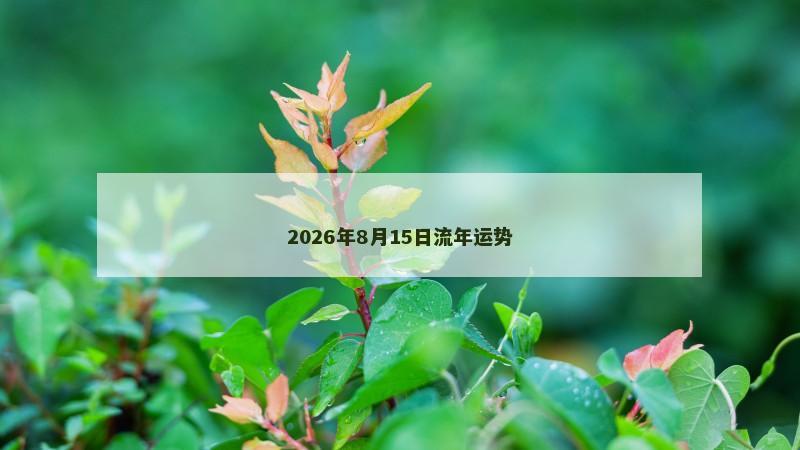 2026年8月15日流年运势