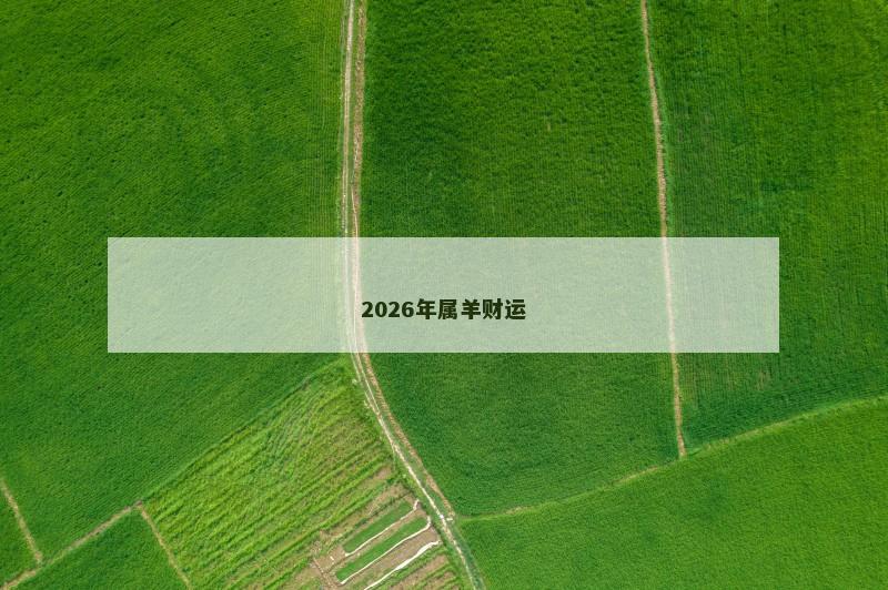 2026年属羊财运