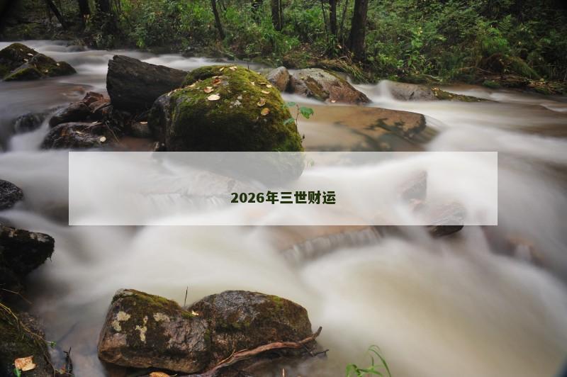 2026年三世财运